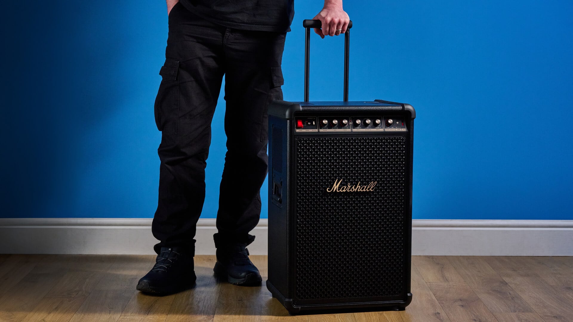 Versatile inputs make this speaker a perfect companion for musicians and entertainers
