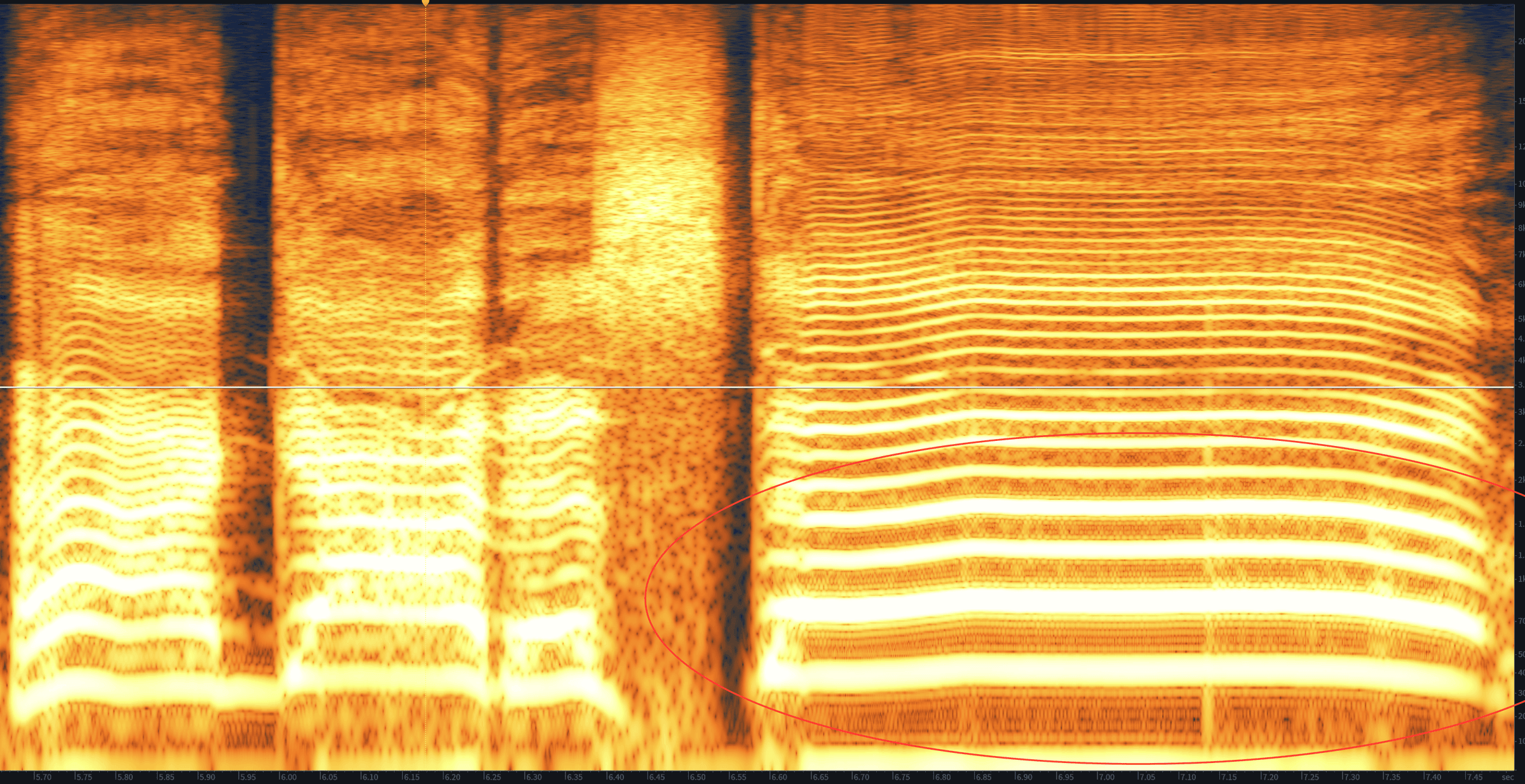 Distorted low and low-mid frequencies in the RX 7 Standard Spectrogram