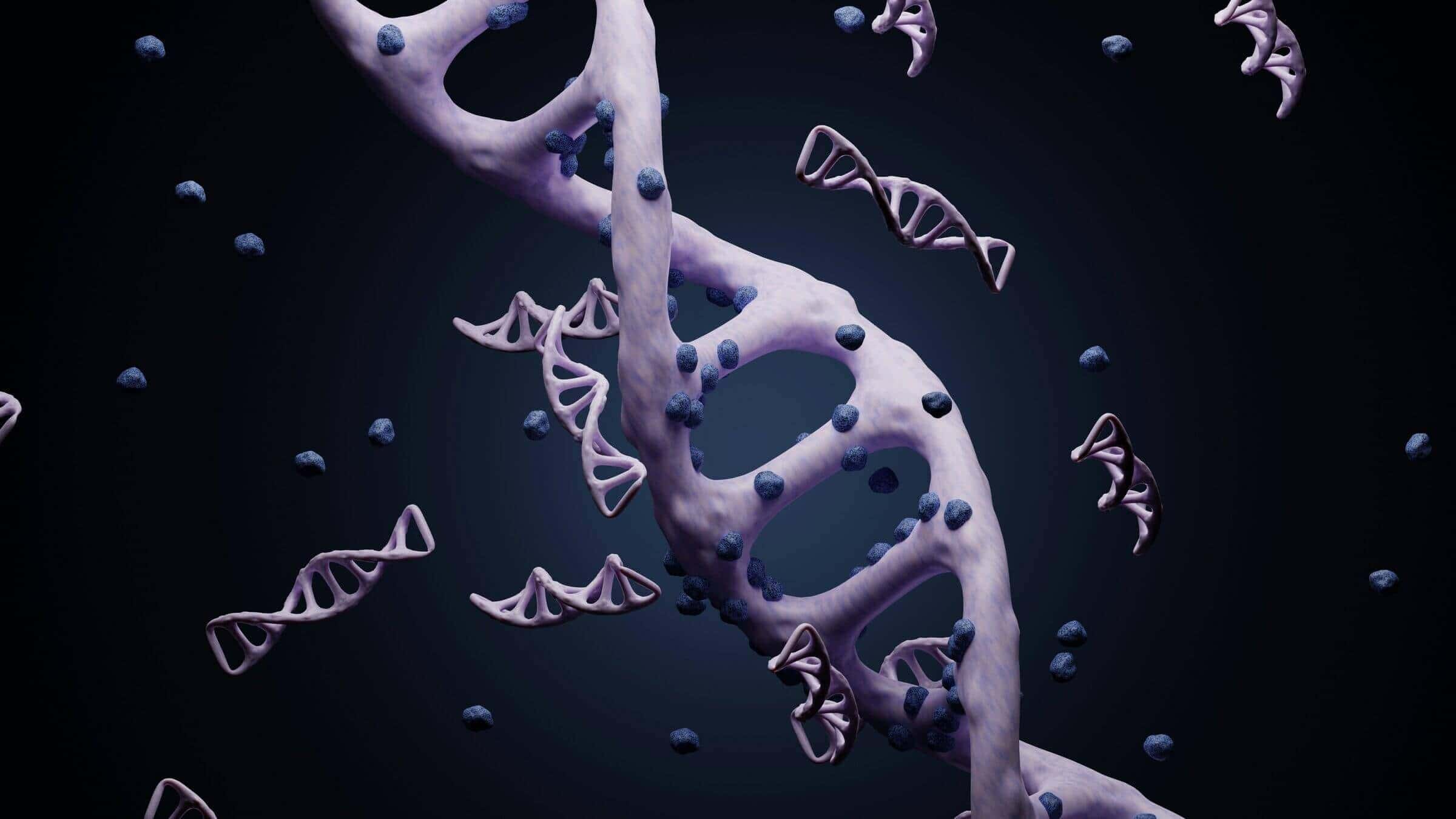 Sperm DNA Fragmentation Test — Everything You Need to Know