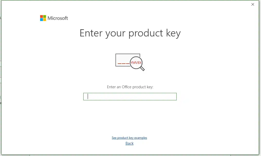 Microsoft Visio Professional 2024 activation screen