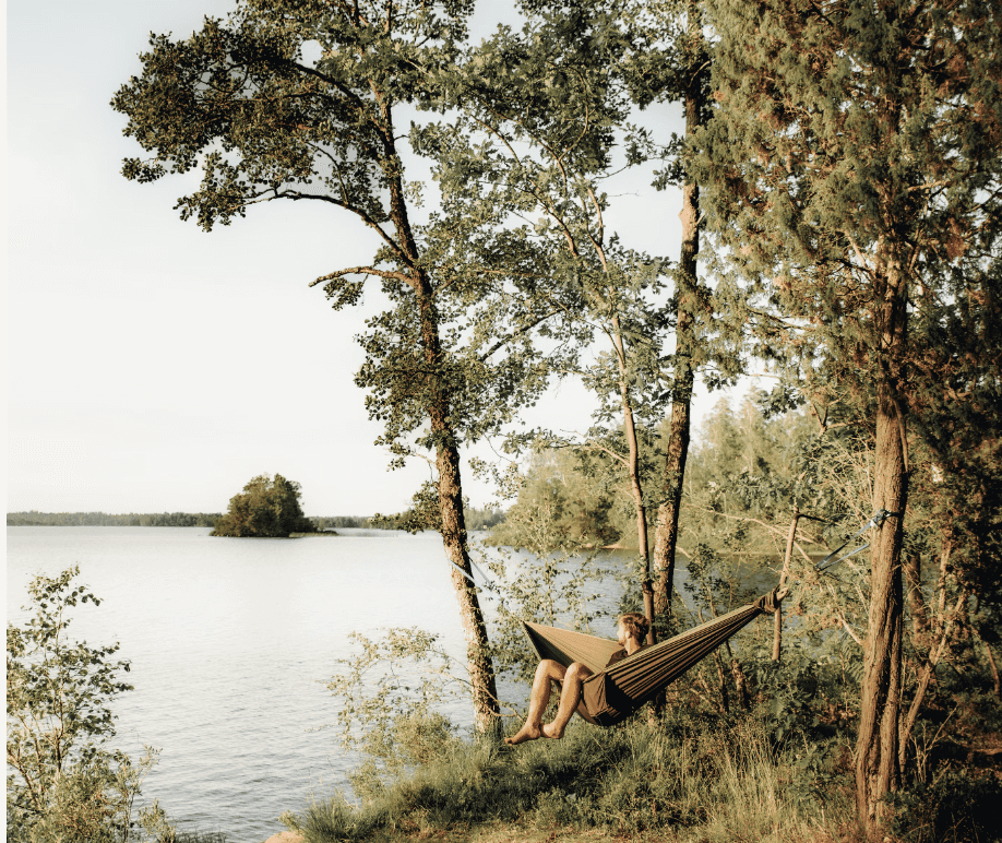 Ein Bild, das Baum, draußen, Wasser, Pflanze enthält.Automatisch generierte Beschreibung