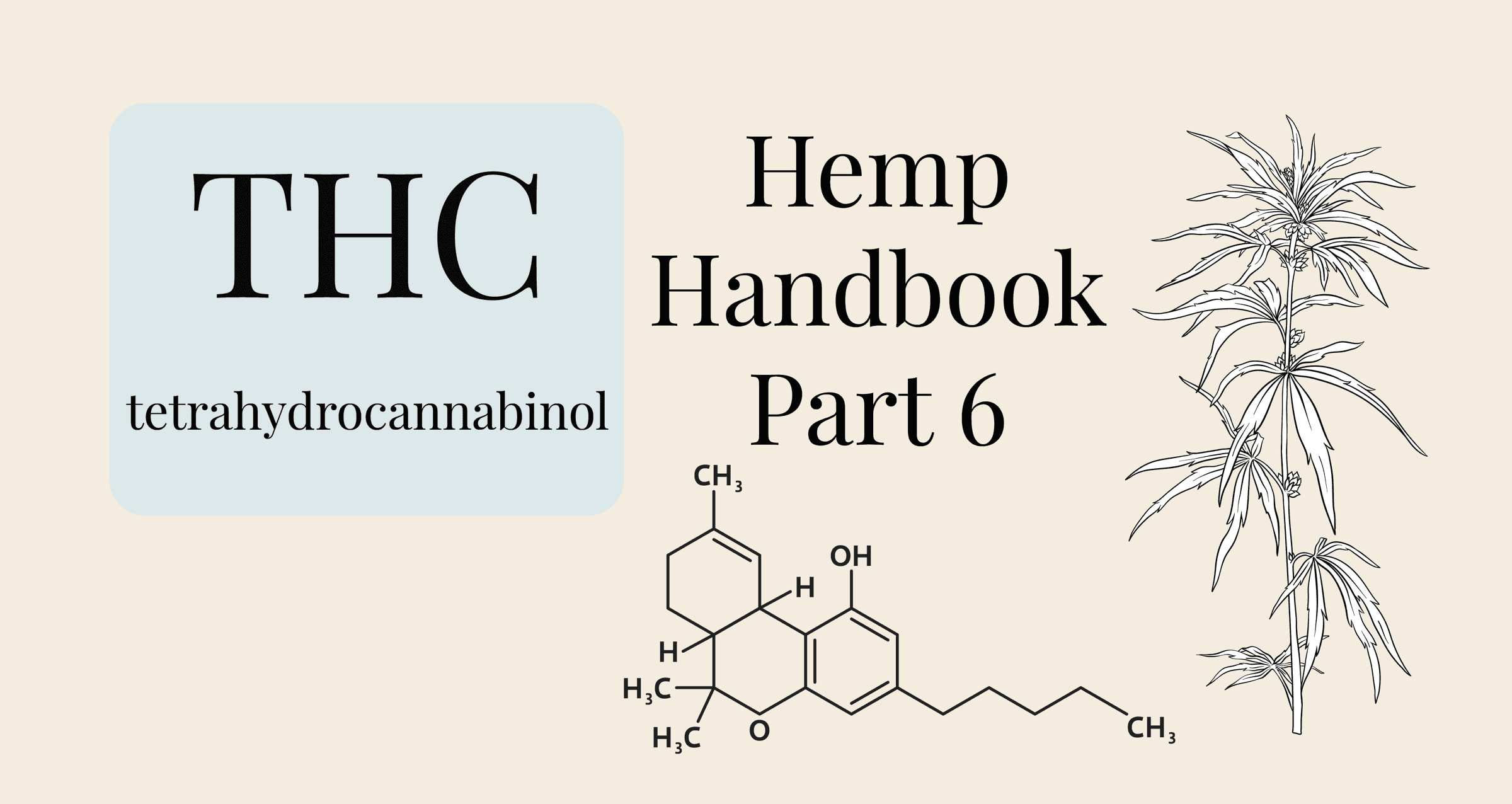 What is THC, tetrahydrocannabinol and hemp botanical illustration