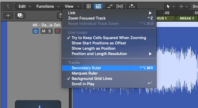 Adding the secondary ruler to the tracks area