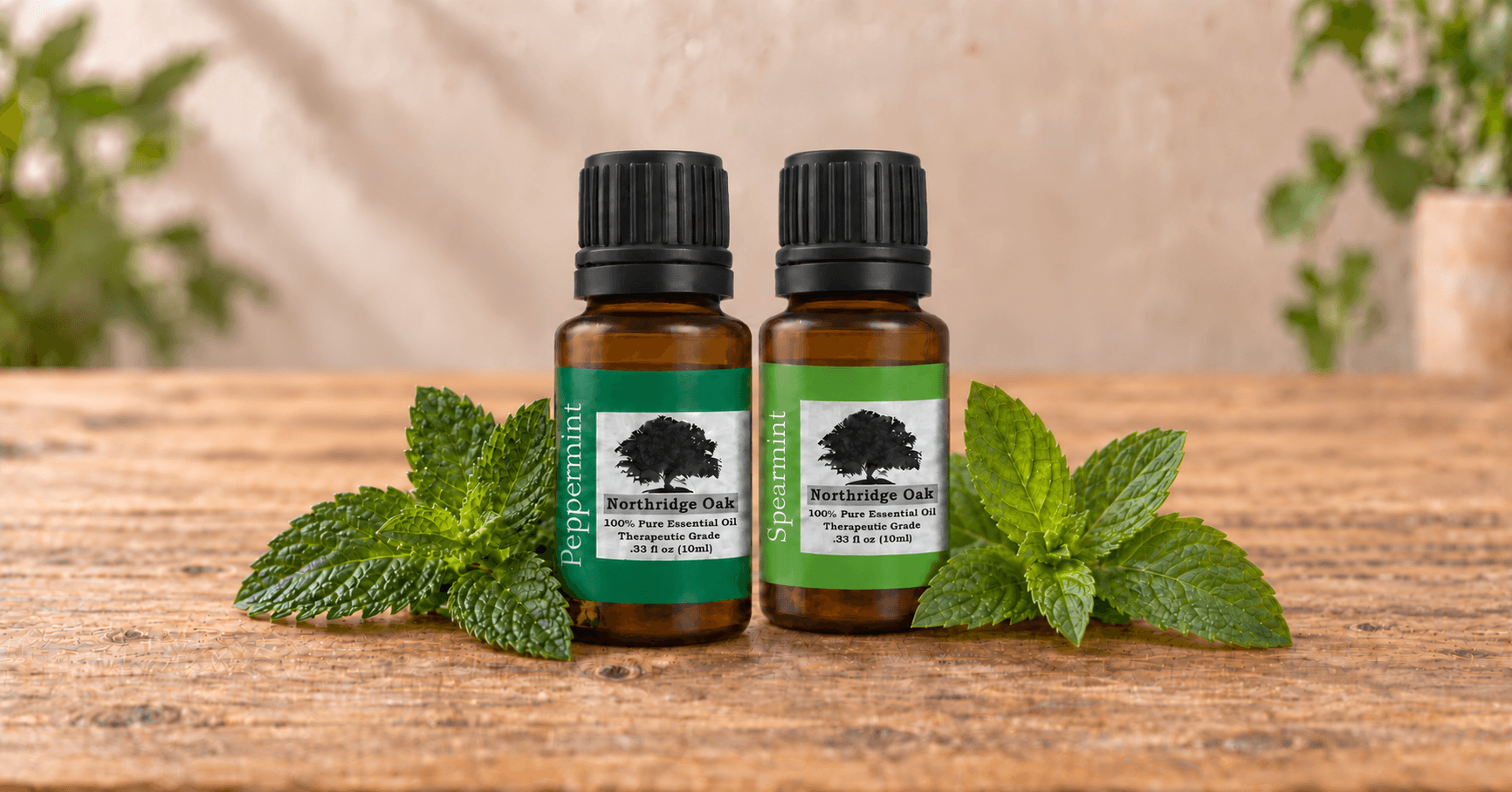 Peppermint vs Spearmint