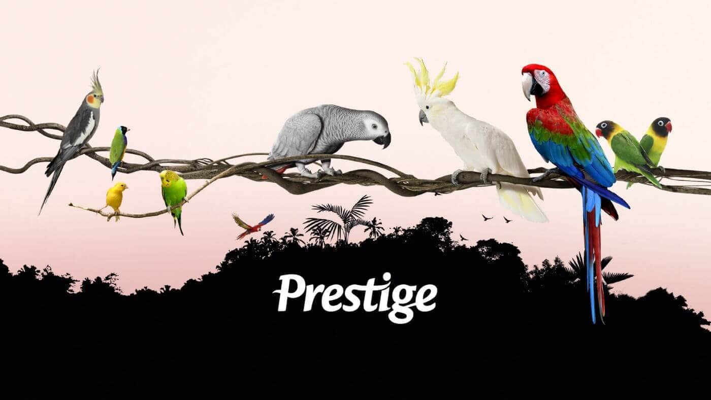 Versele-Laga Prestige Range