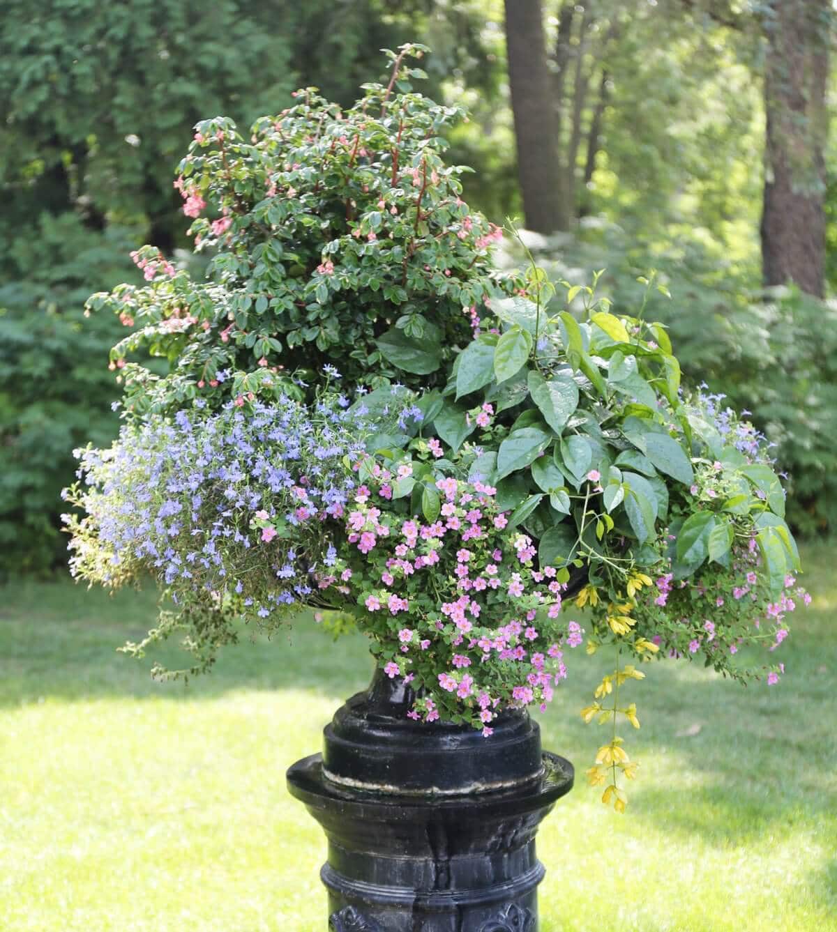 pot
