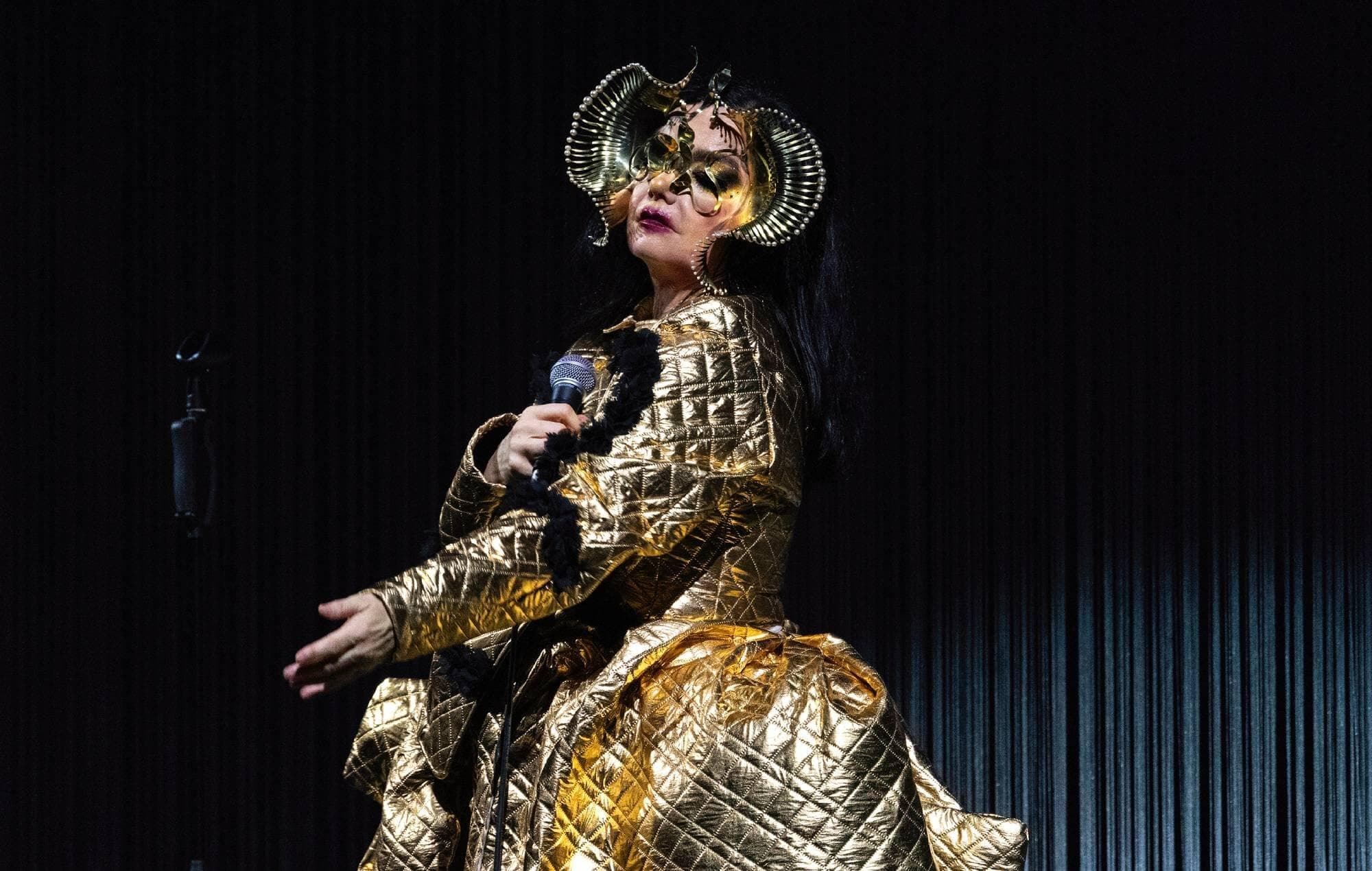 Björk Joins No Music For Genocide Campaign, Pulls Music from Streaming in Israel