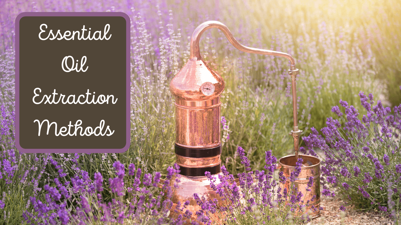 Essential Oil Extraction Methods