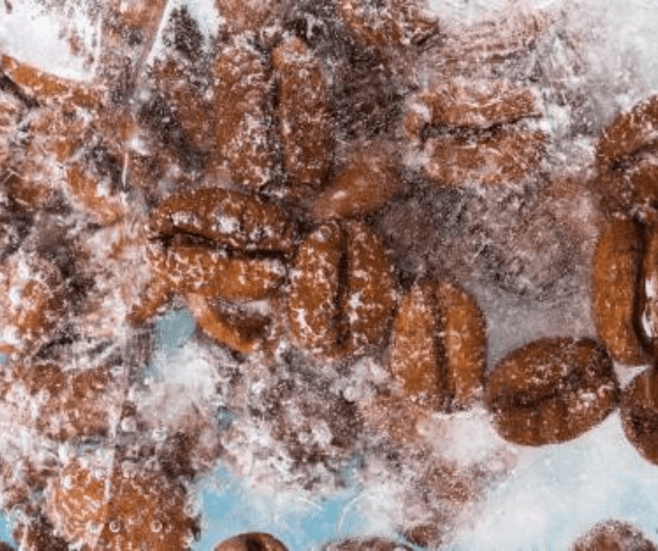 Don't Freeze Your Coffee (But If You Do.....)