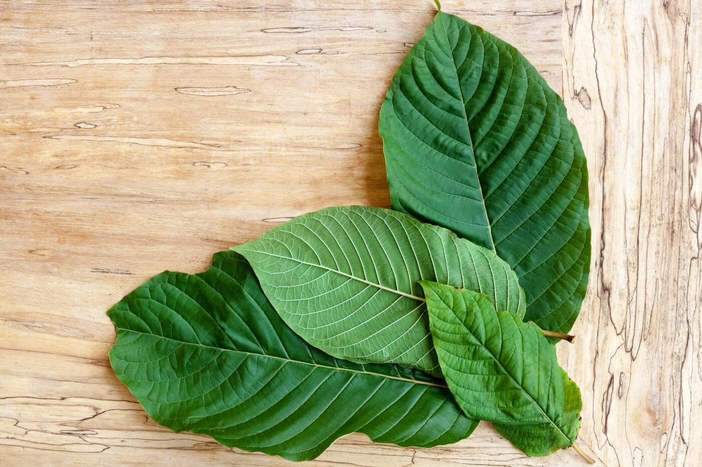 Christopher’s Botanicals : Is This the Best of the Best ?