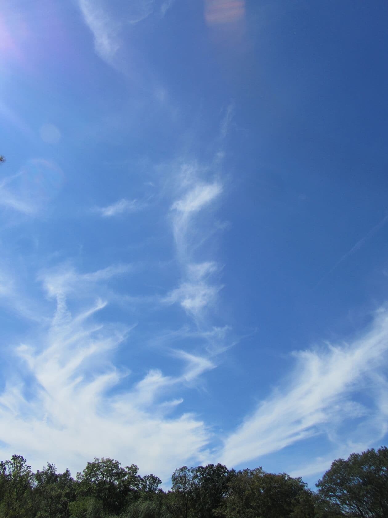 Several obs move quickly off the top and the sky was clear except for this formation.