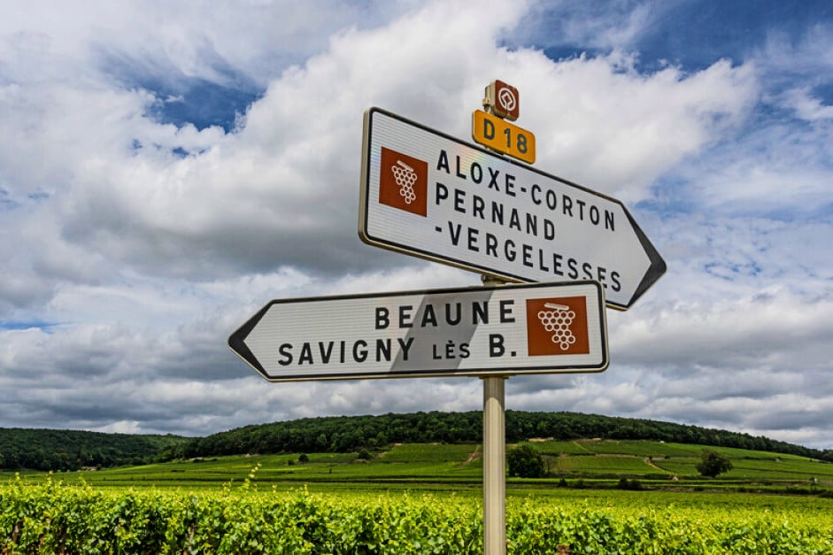 A Guide to Pinot Noir Wine