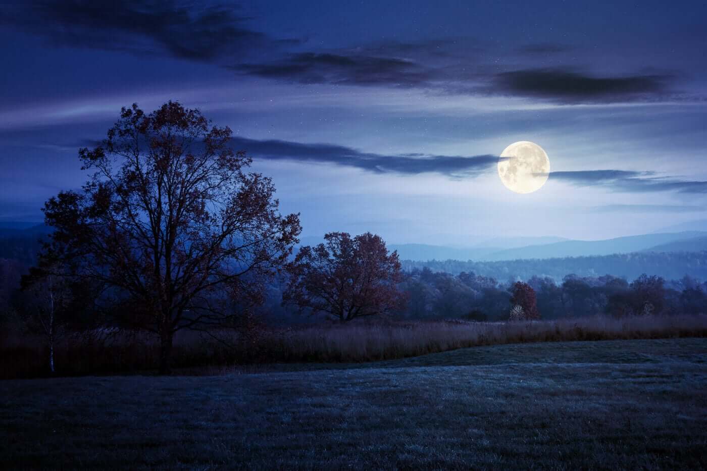 MOON MUSINGS: THE FULL MOON IN ARIES