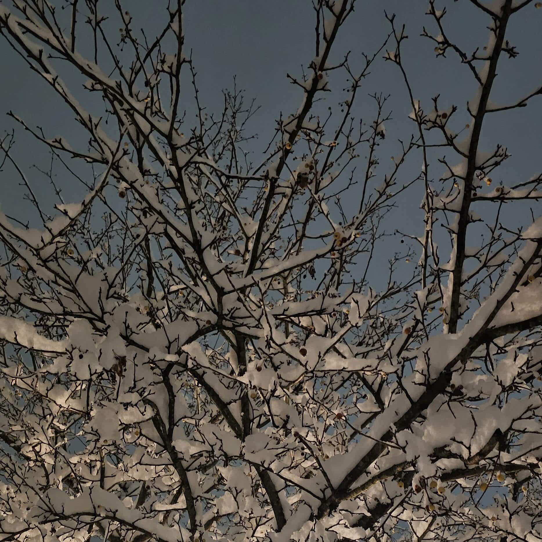 A Slow Start: Winter as a Season of Becoming
