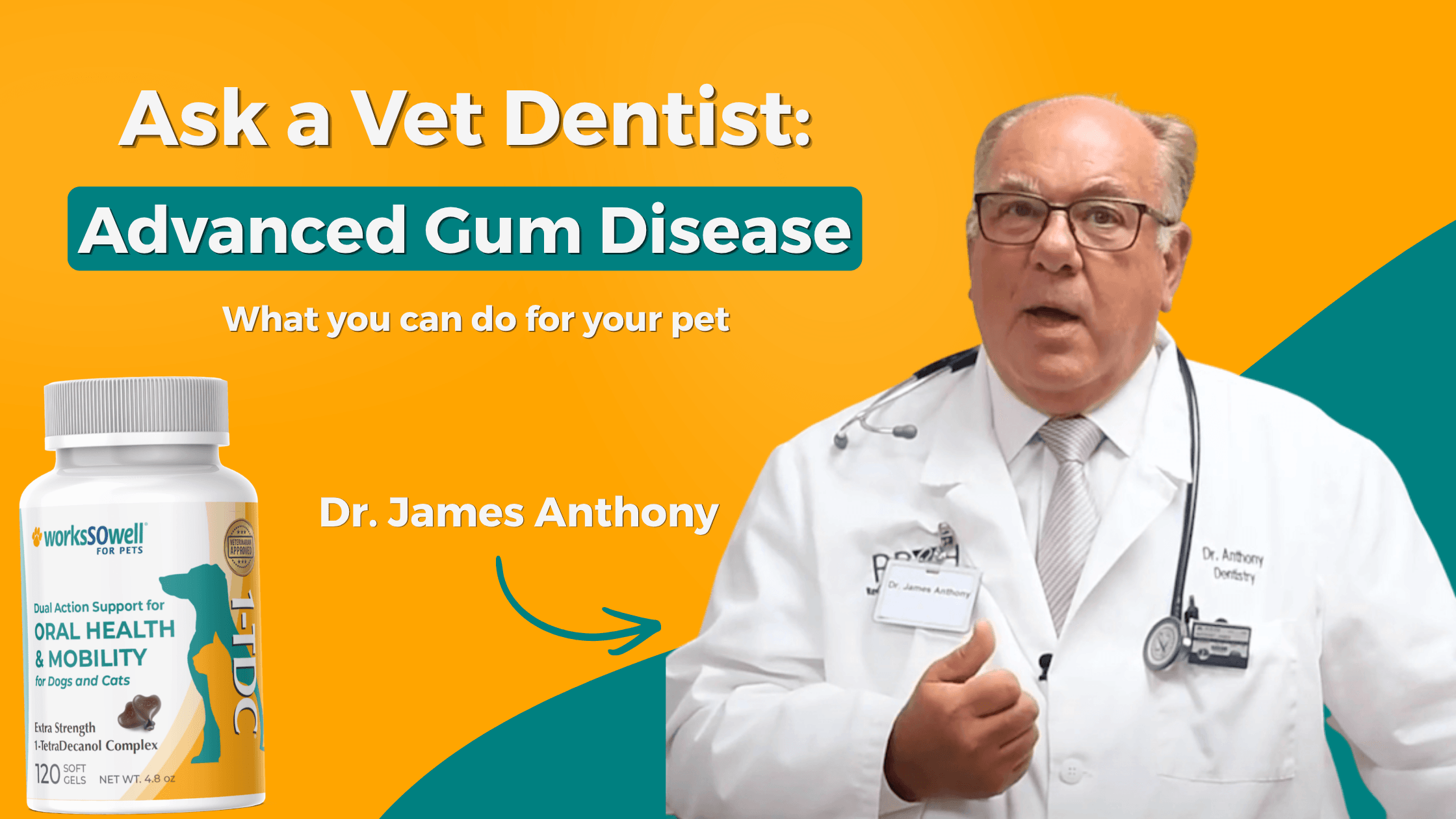 Ask a Vet Dentist: What Else Can I Do for My Dog's Chronic Periodontitis?