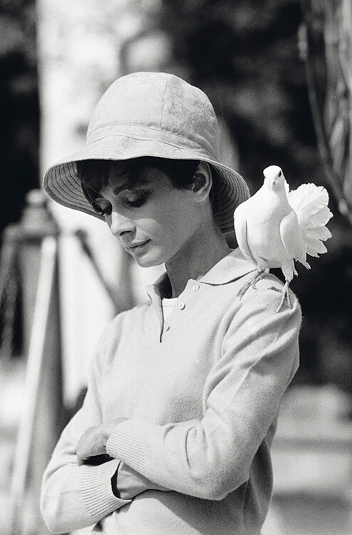 Audrey Hepburn stands with a dove on her shoulder in St. Tropez, in 1966.