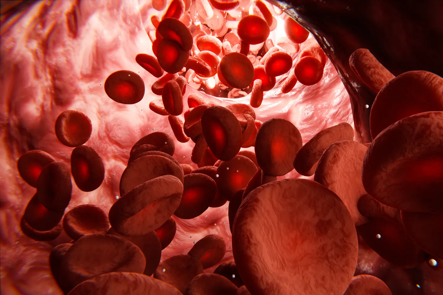 Do Circulation Supplements Actually Work? An Honest Look at the Evidence