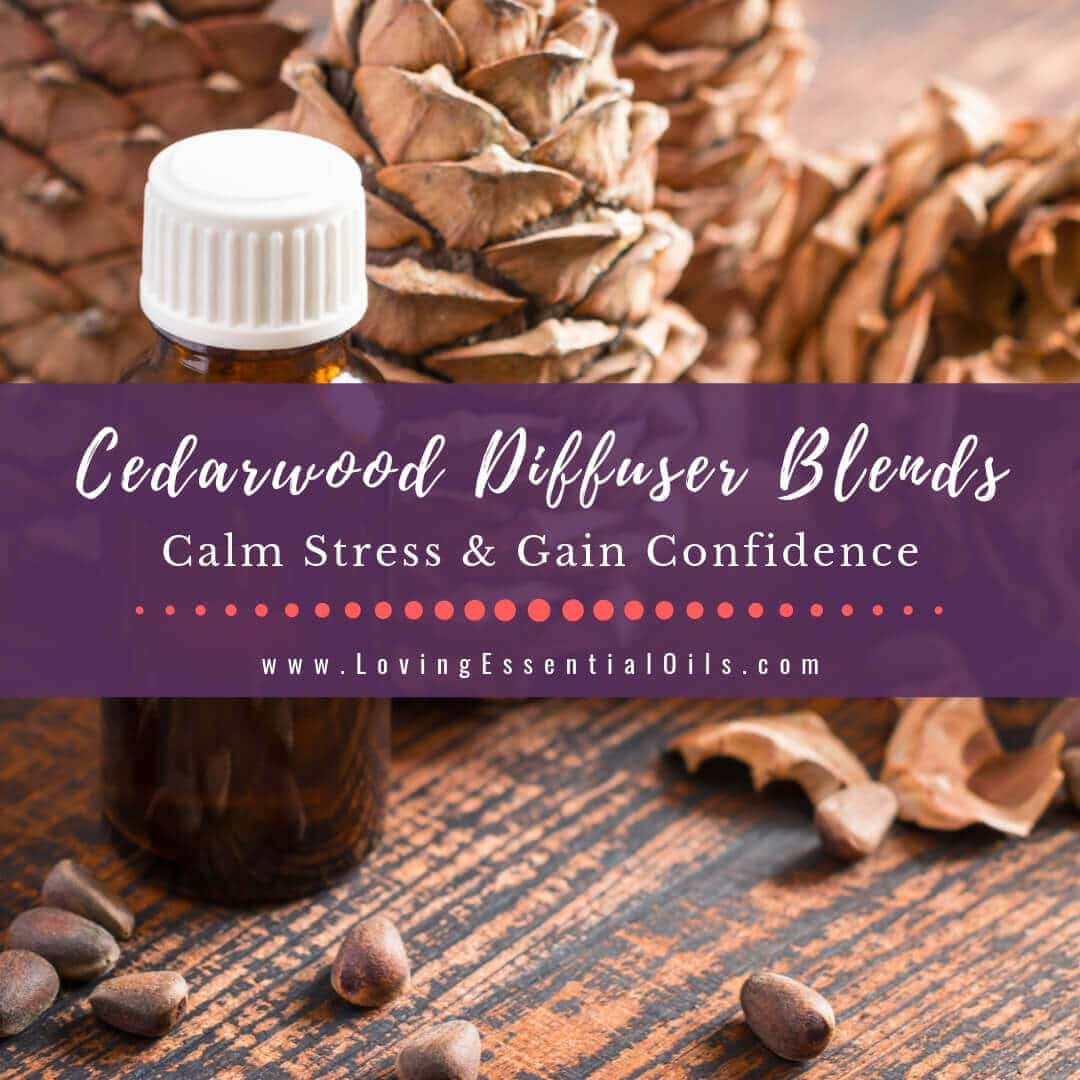 Cedarwood diffuser blends – 10 woody essential oil recipes