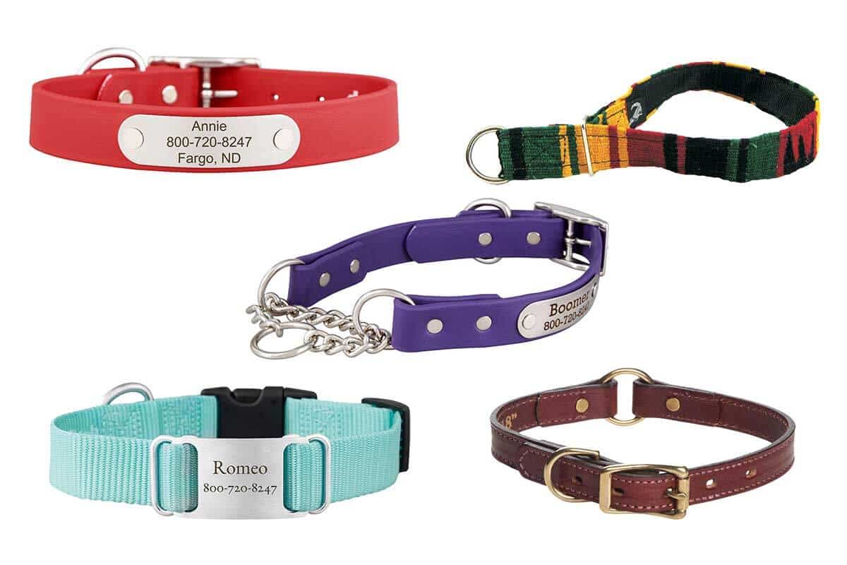 Types of Dog Collars Defined
