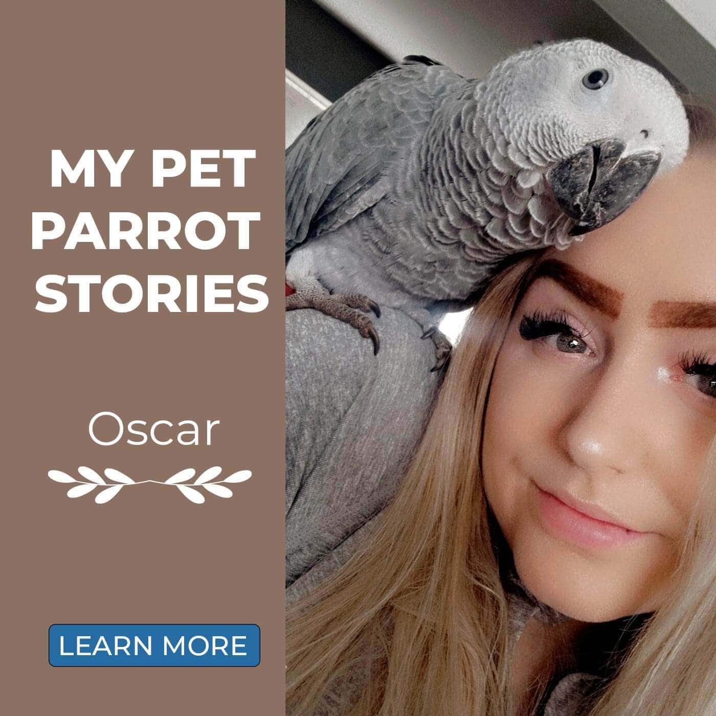 My Pet Parrot Stories: Beth & Oscar
