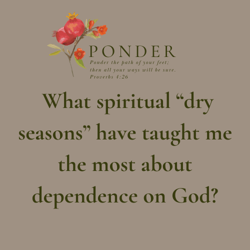 Ponder: What spiritual “dry seasons” have taught me the most about dependence on God?