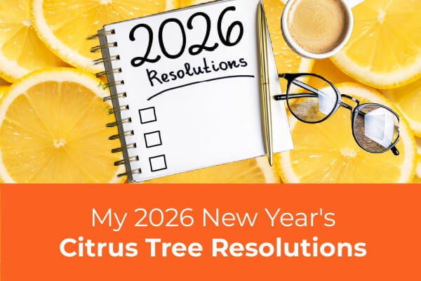 My 2026 New Year's Citrus Tree Resolutions