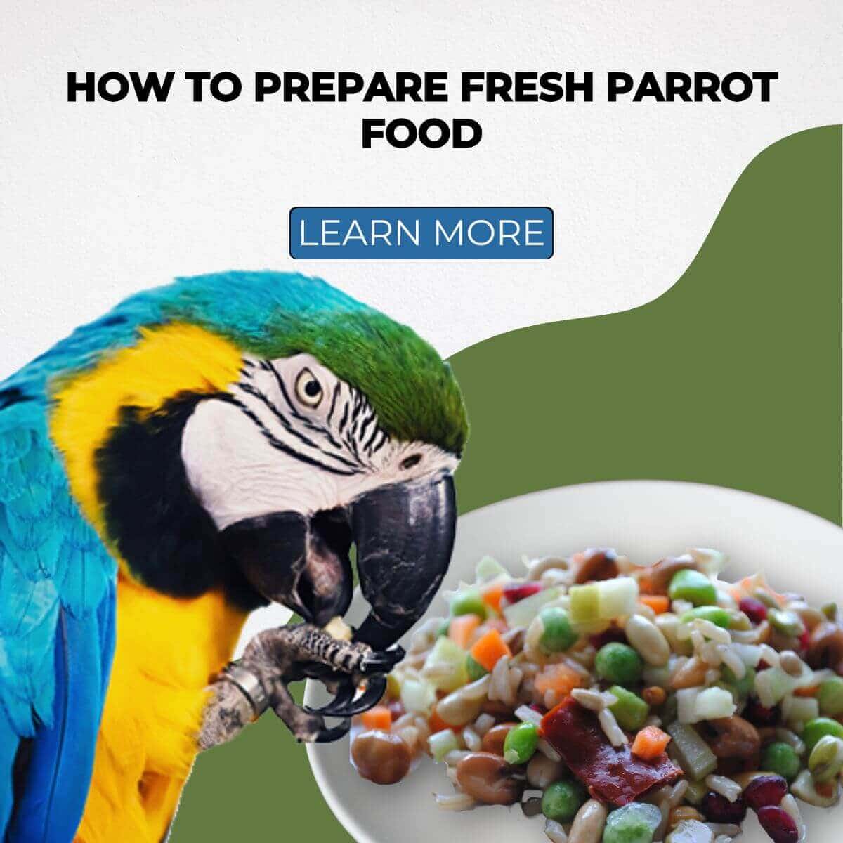 How to Prepare Fresh Parrot Food as Recommended by Parrot Essentials