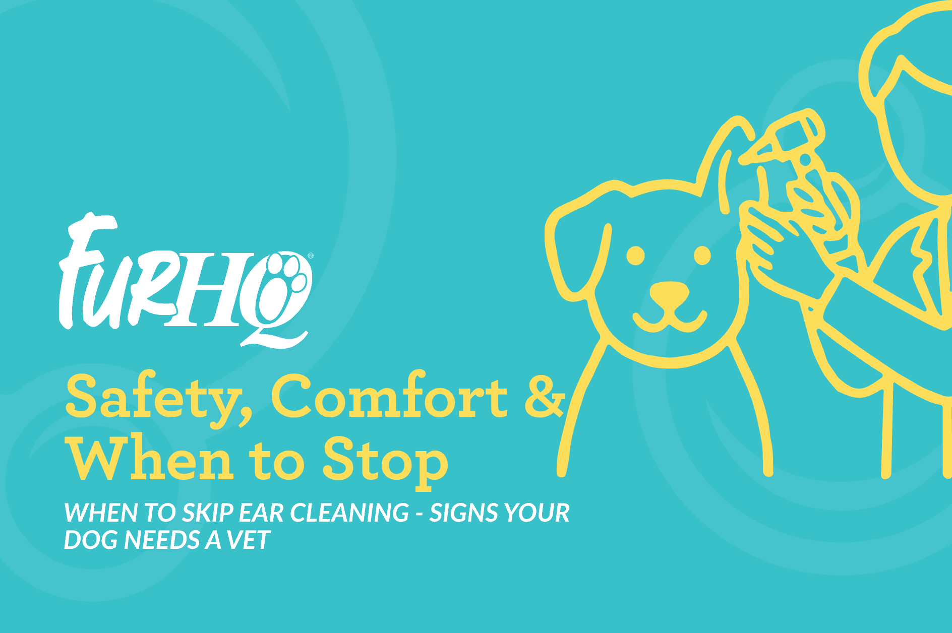 When To Skip Ear Cleaning - Signs Your Dog Needs a Vet