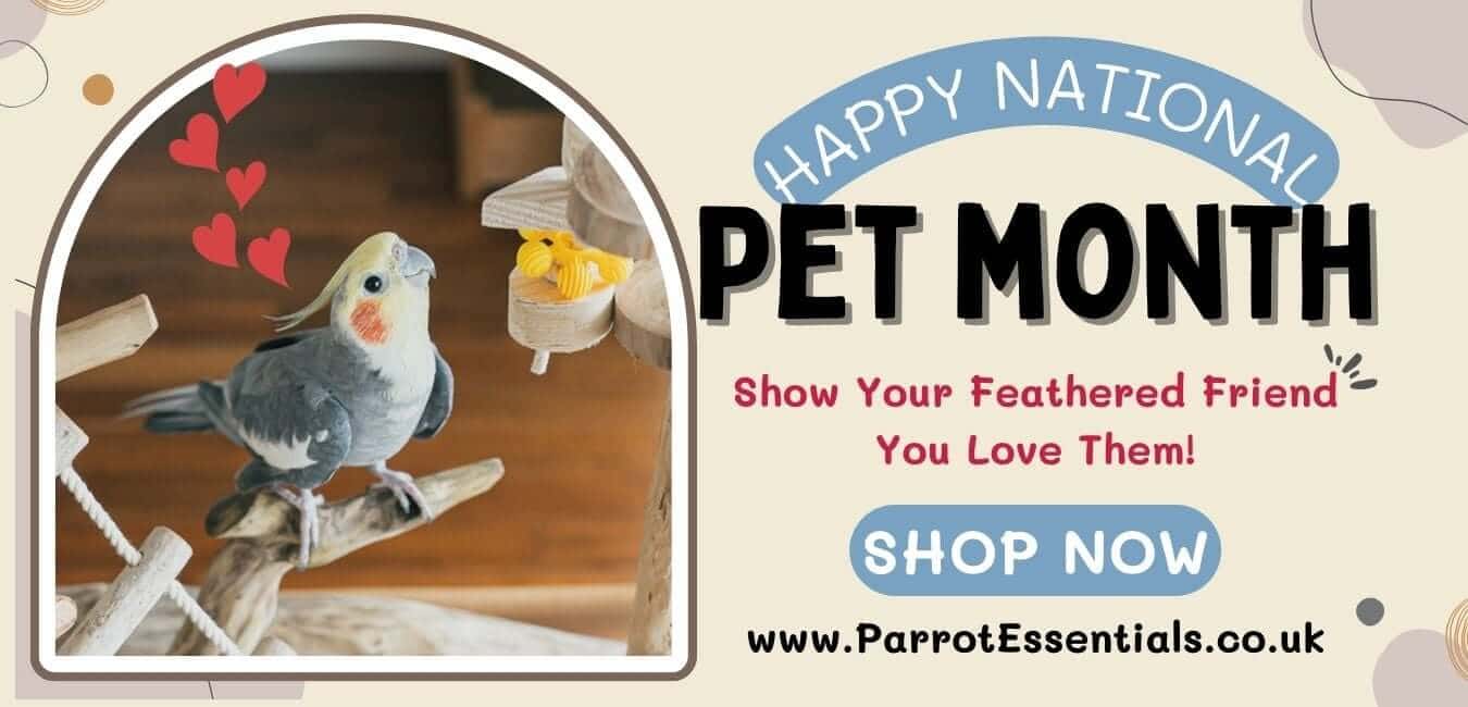 Celebrate National Pet Day