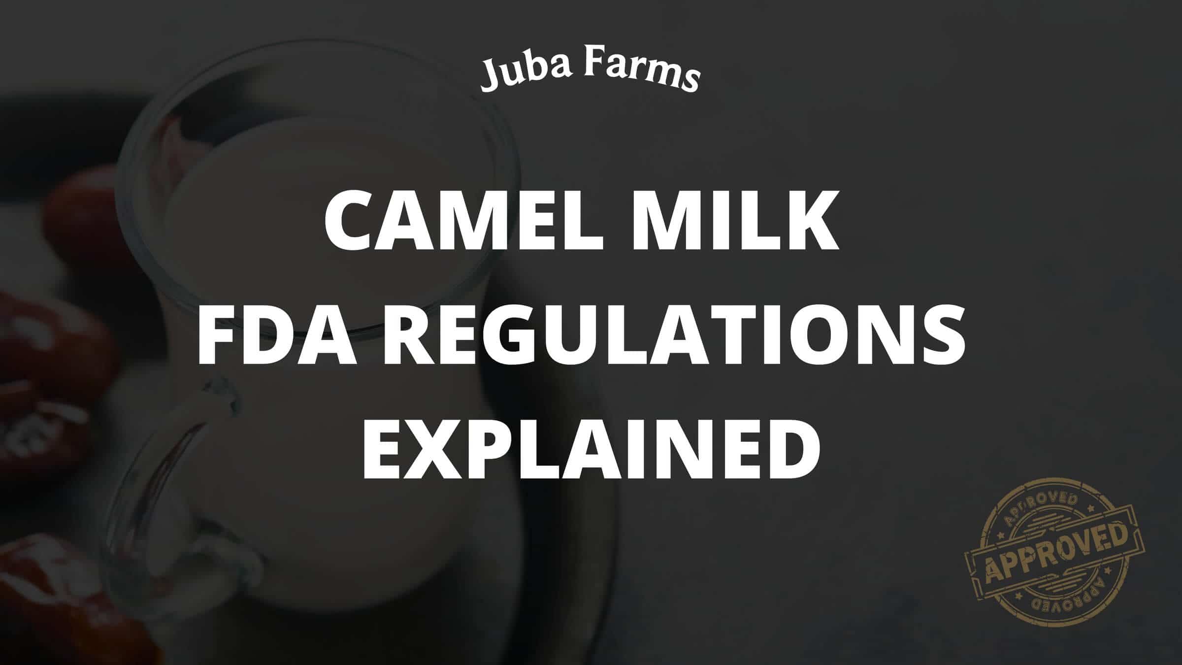 Camel Milk FDA Regulations Explained