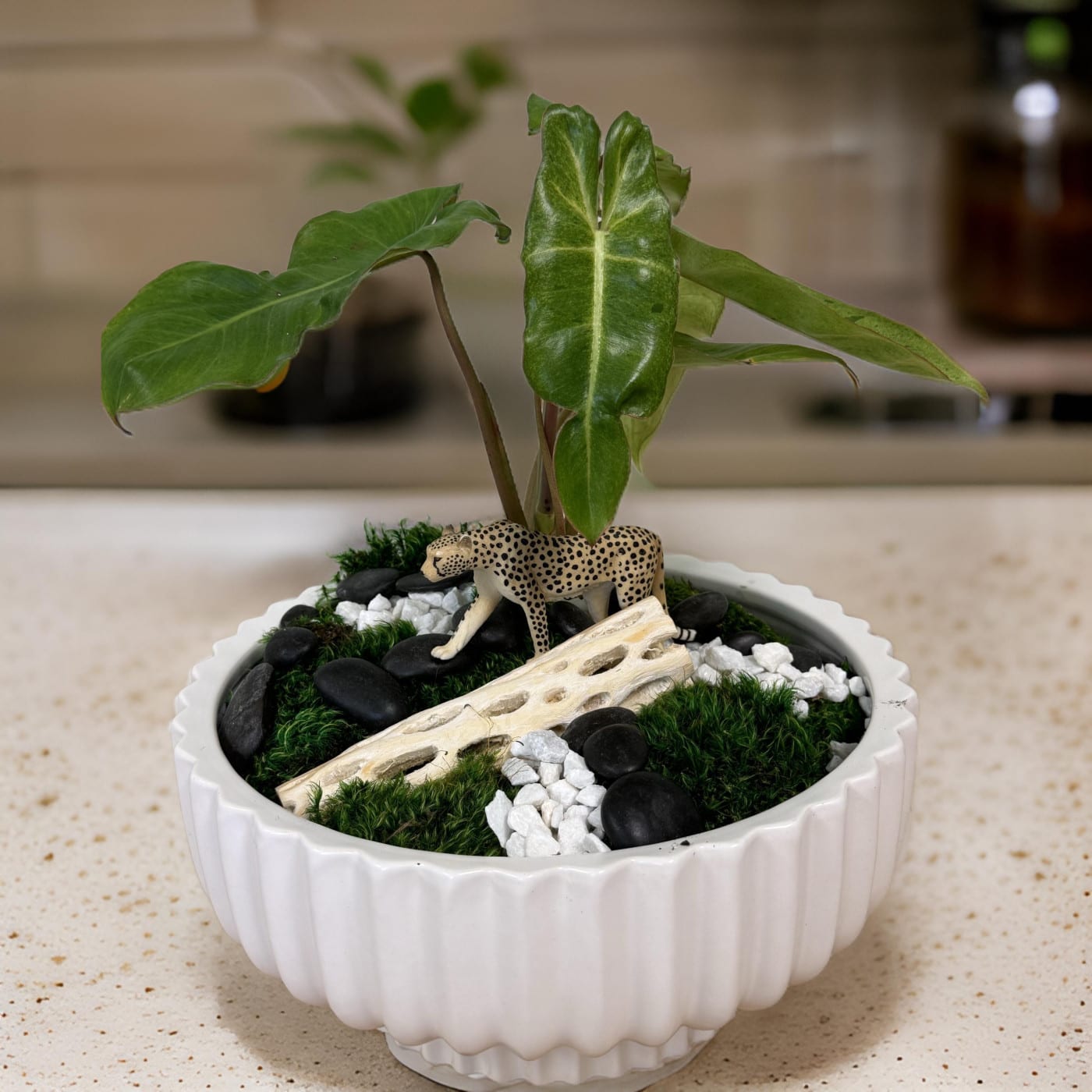 DIY Plant Arrangement with Preserved Mood Moss