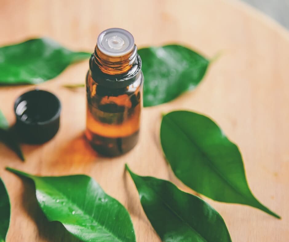 Tea tree essential oil benefits by Loving Essential Oils