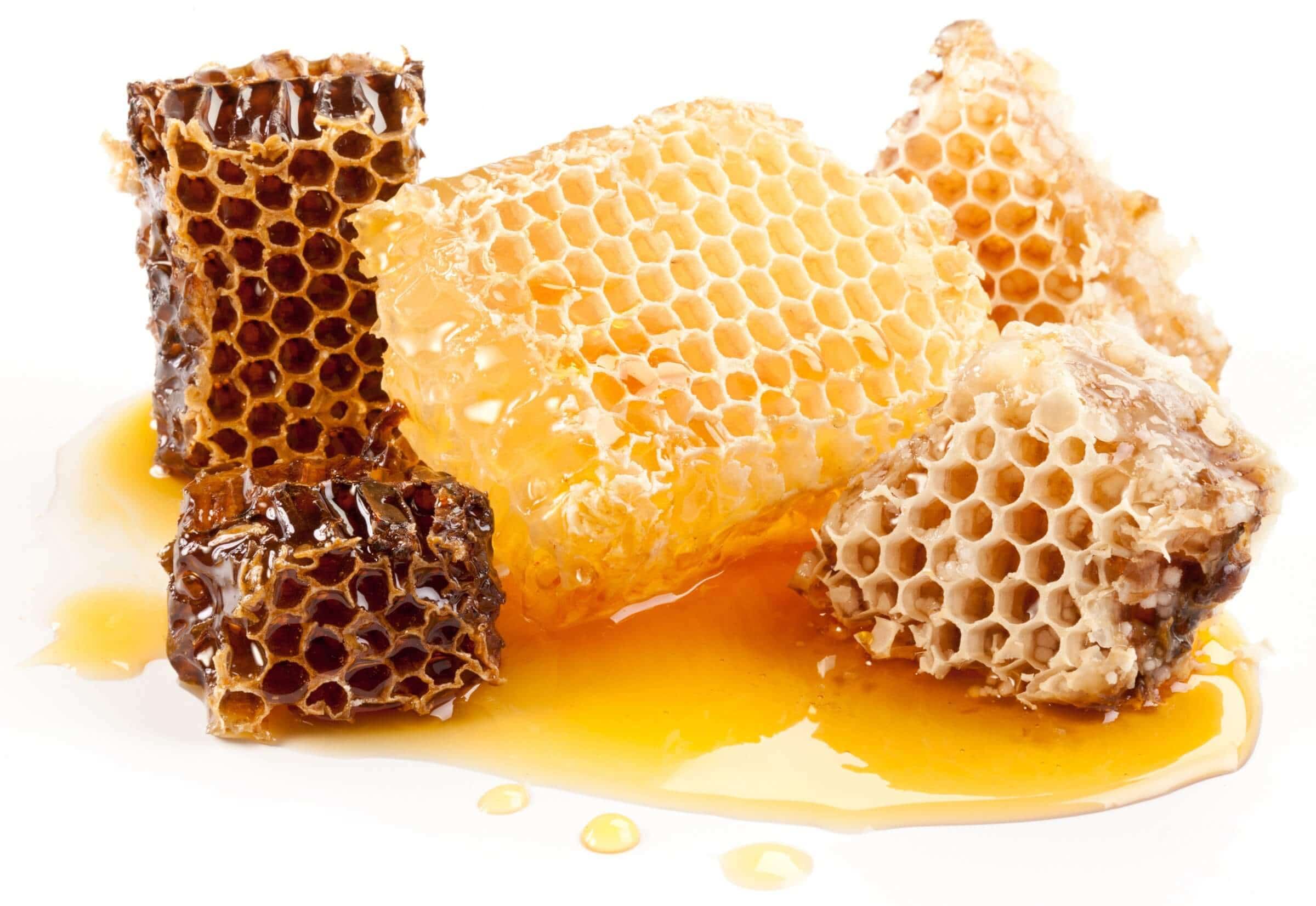 Exploring the Multifaceted Uses of Honeycomb