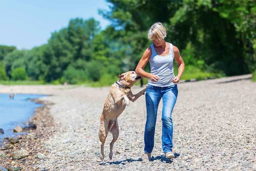 Lady walking on beach with dog while dog is jumping up on her