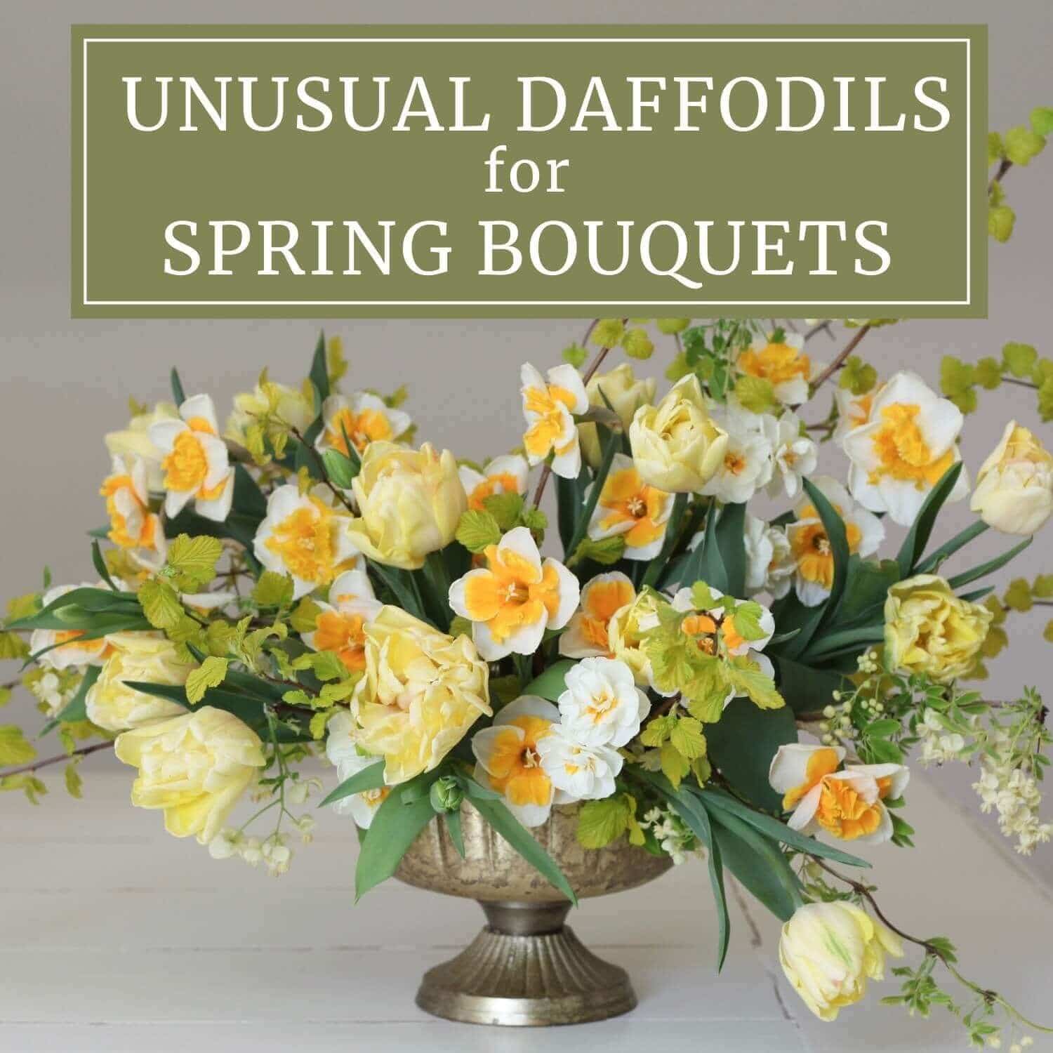 Unusual Daffodils for Spring Bouquets