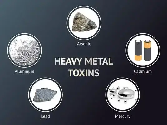 Understanding the Effects of Heavy Metals on Your Health