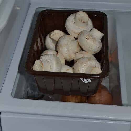 Storing Mushrooms