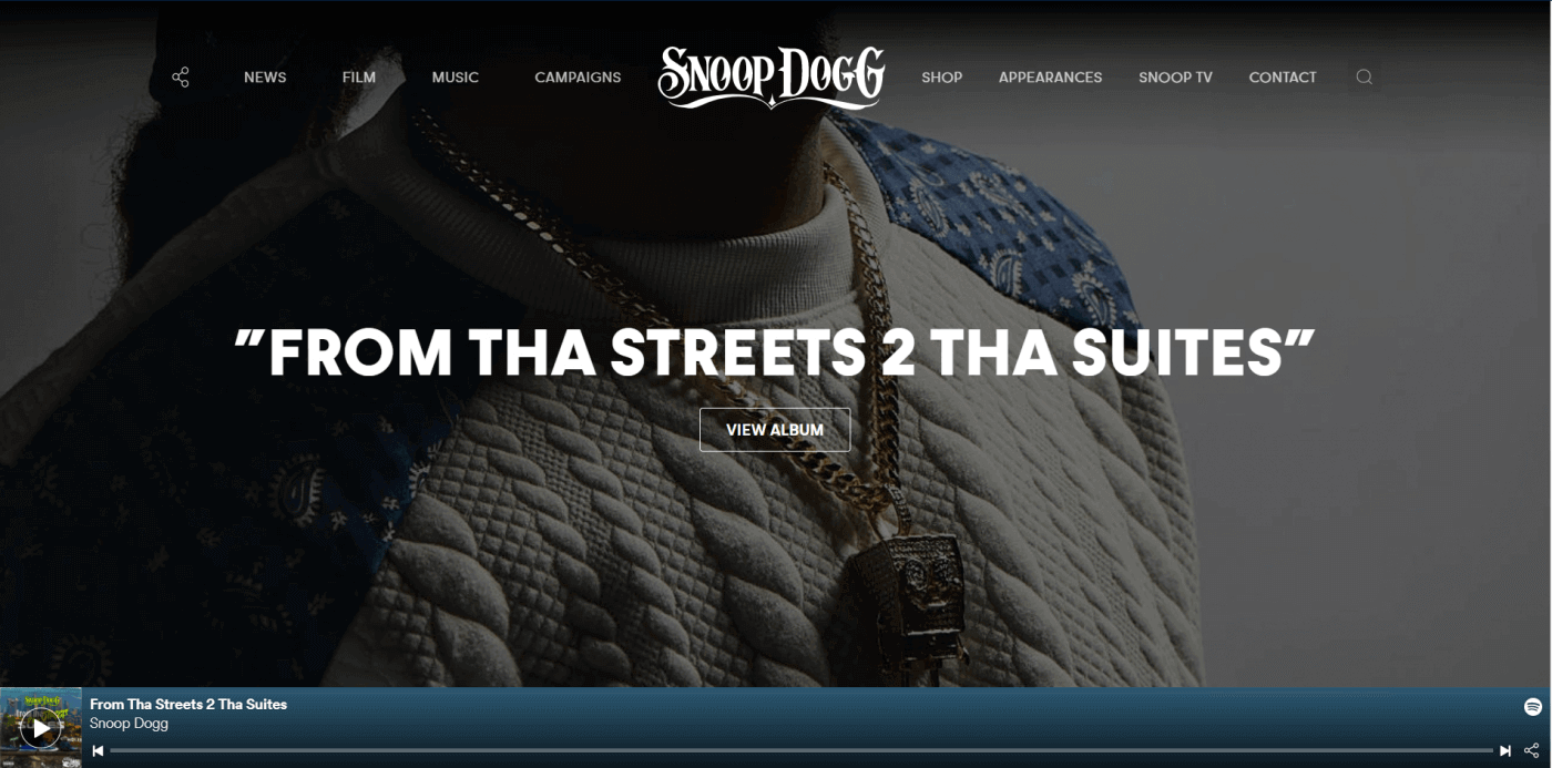 Drupal vs WordPress: WordPress Snoop Dog Website