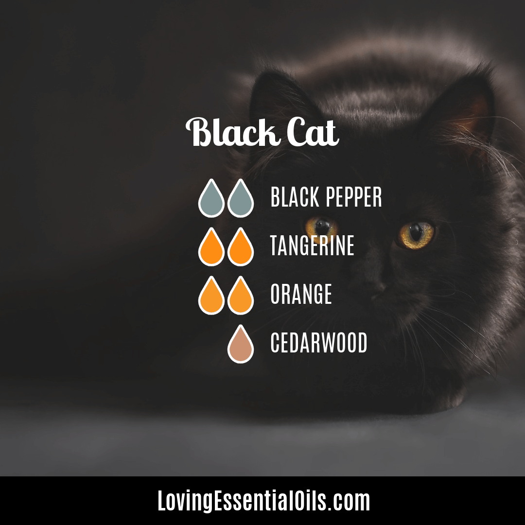 Black Cat Halloween diffuser blend with black pepper, tangerine, orange and cedarwood by Loving Essential Oils