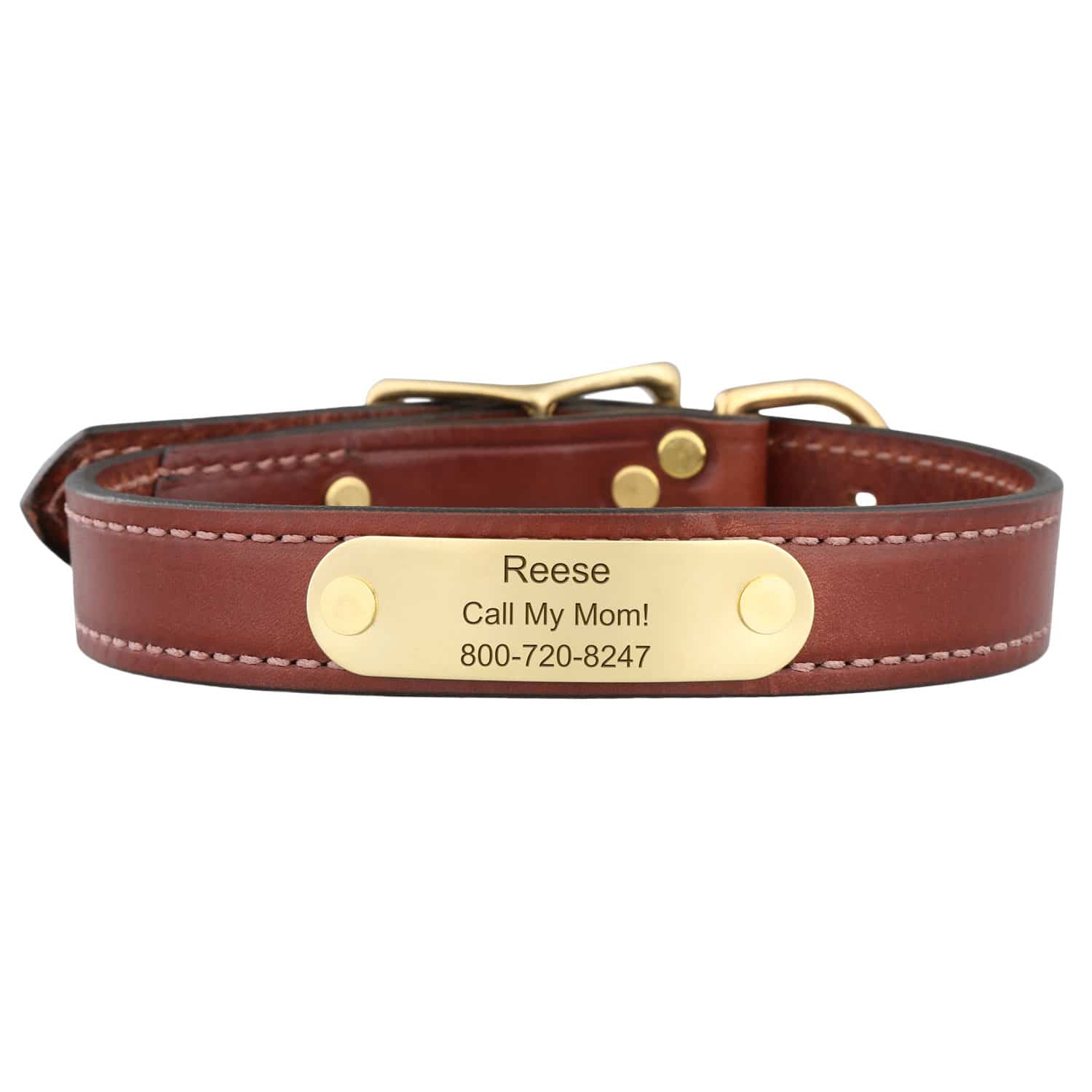 English Bridle Leather Standard Collar with Laser Engraved Solid Brass Name Plate and Hardware