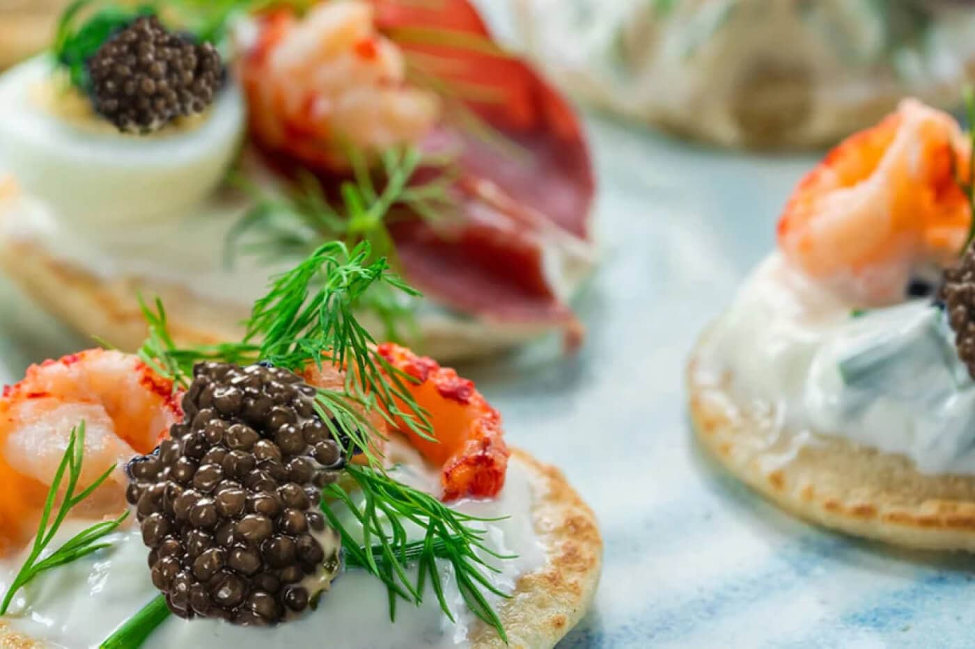 Sturgeon Biology: A Deep Dive Into the Caviar-Producing Fish