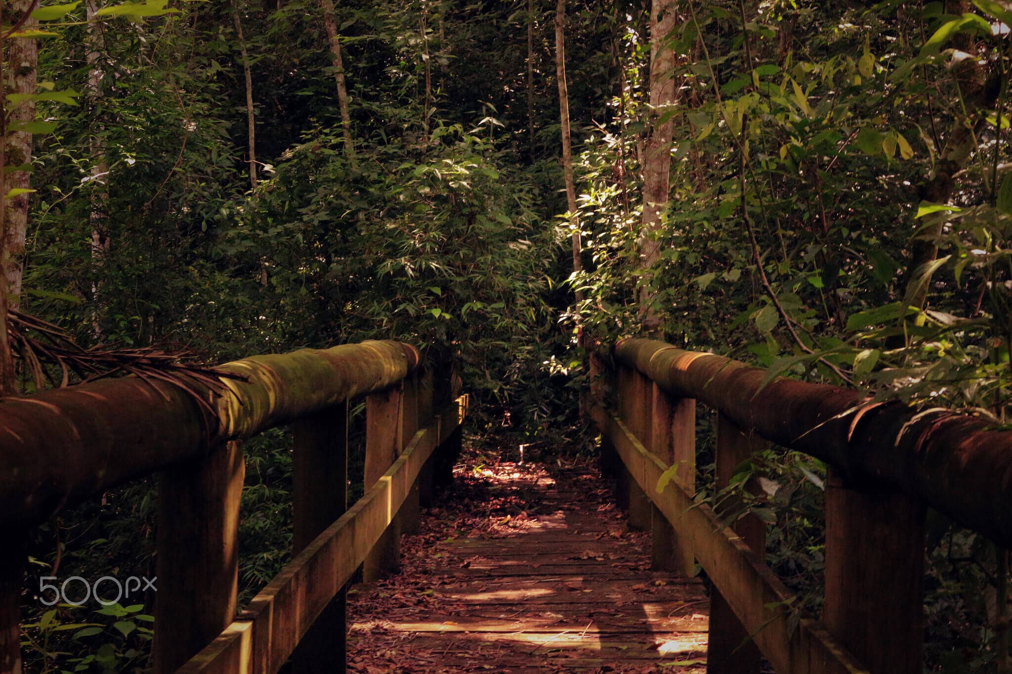 Resources for Hiking and Getting Outside in the Era of Social Distancing
