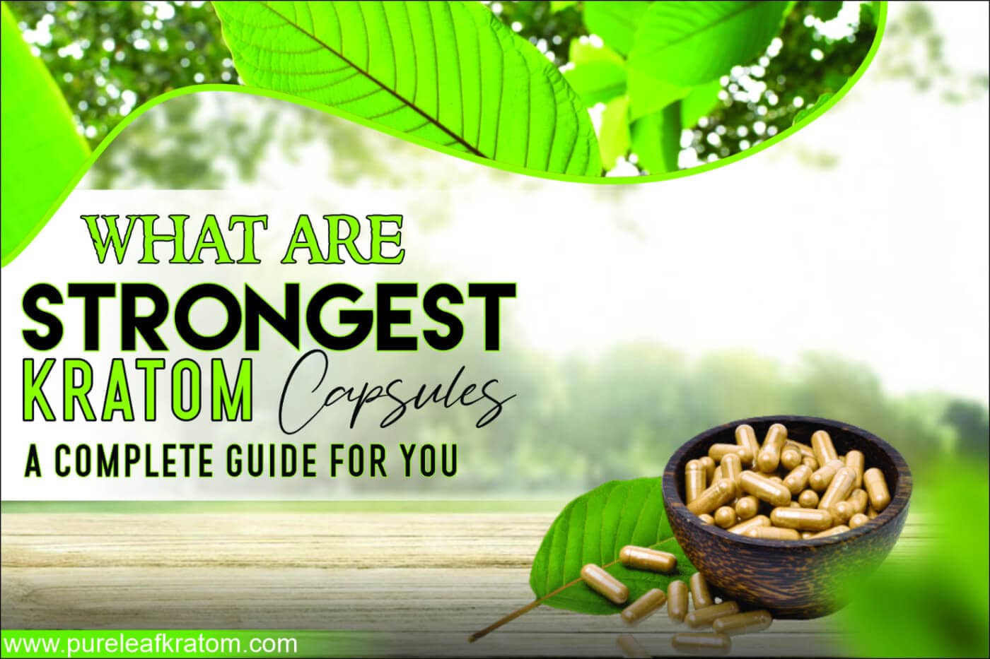 What Are Strongest Kratom Capsules? A Complete Guide For You!