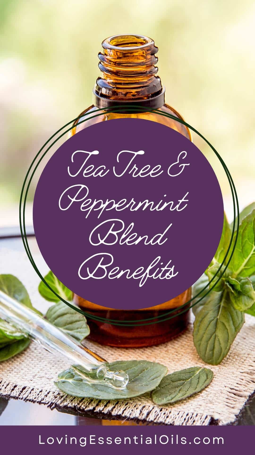 Tea tree and peppermint essential oil blend benefits by Loving Essential Oils