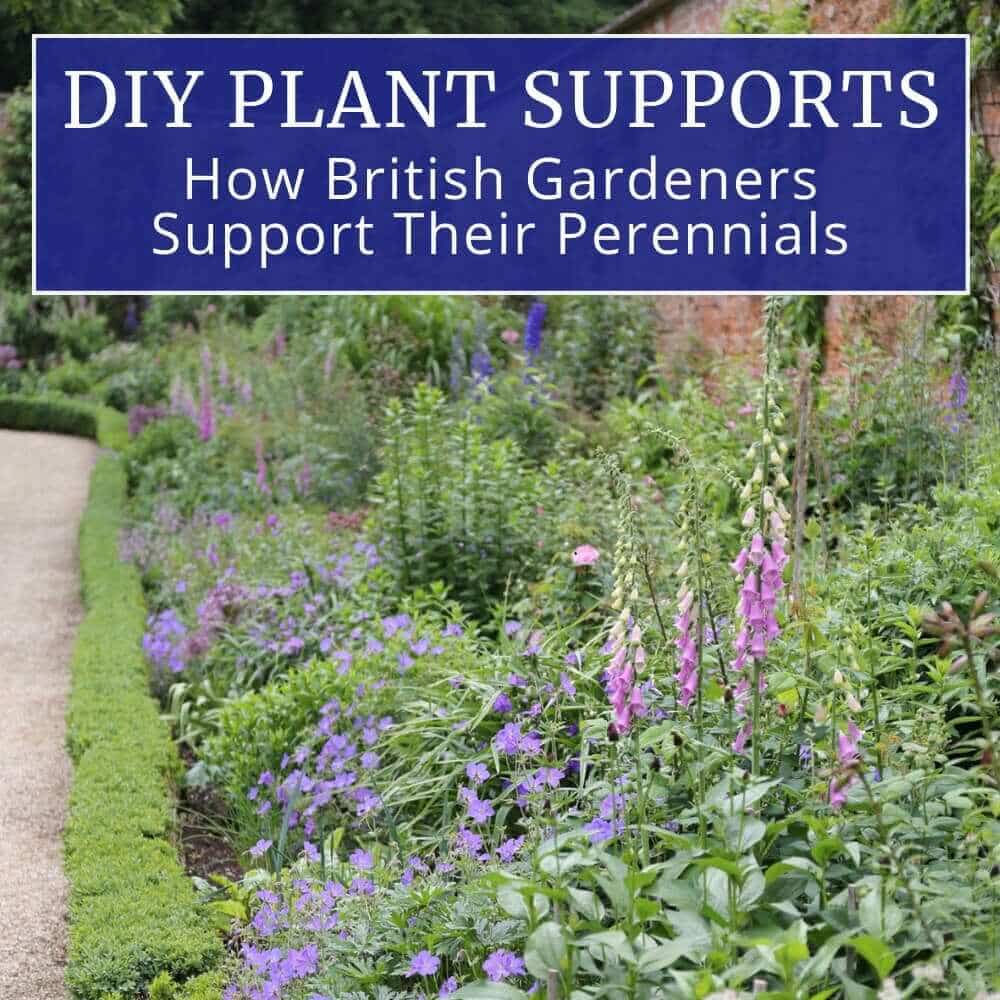 DIY Plant Supports: How British Gardeners Support Their Perennials