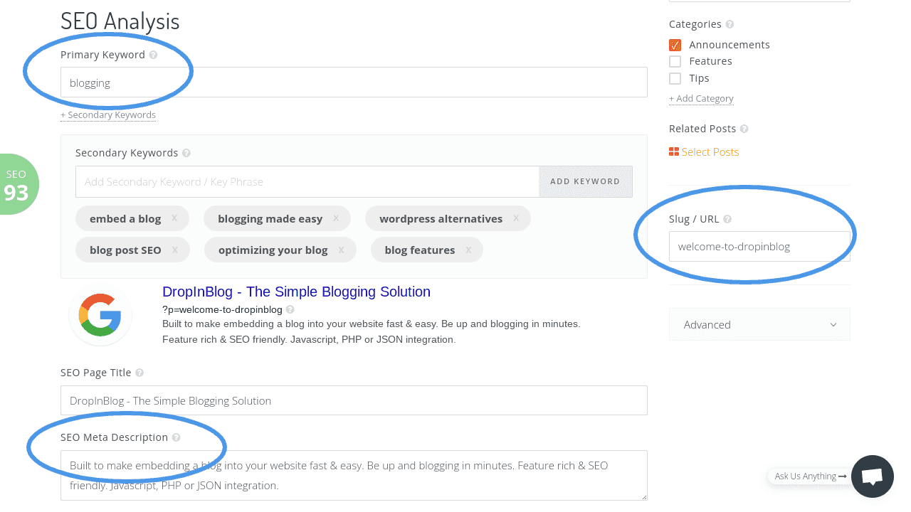 SEO for bloggers: DropInBlog SEO features