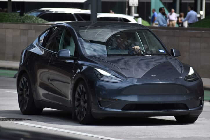 The best-selling Tesla: A look at the dominance of the Model Y