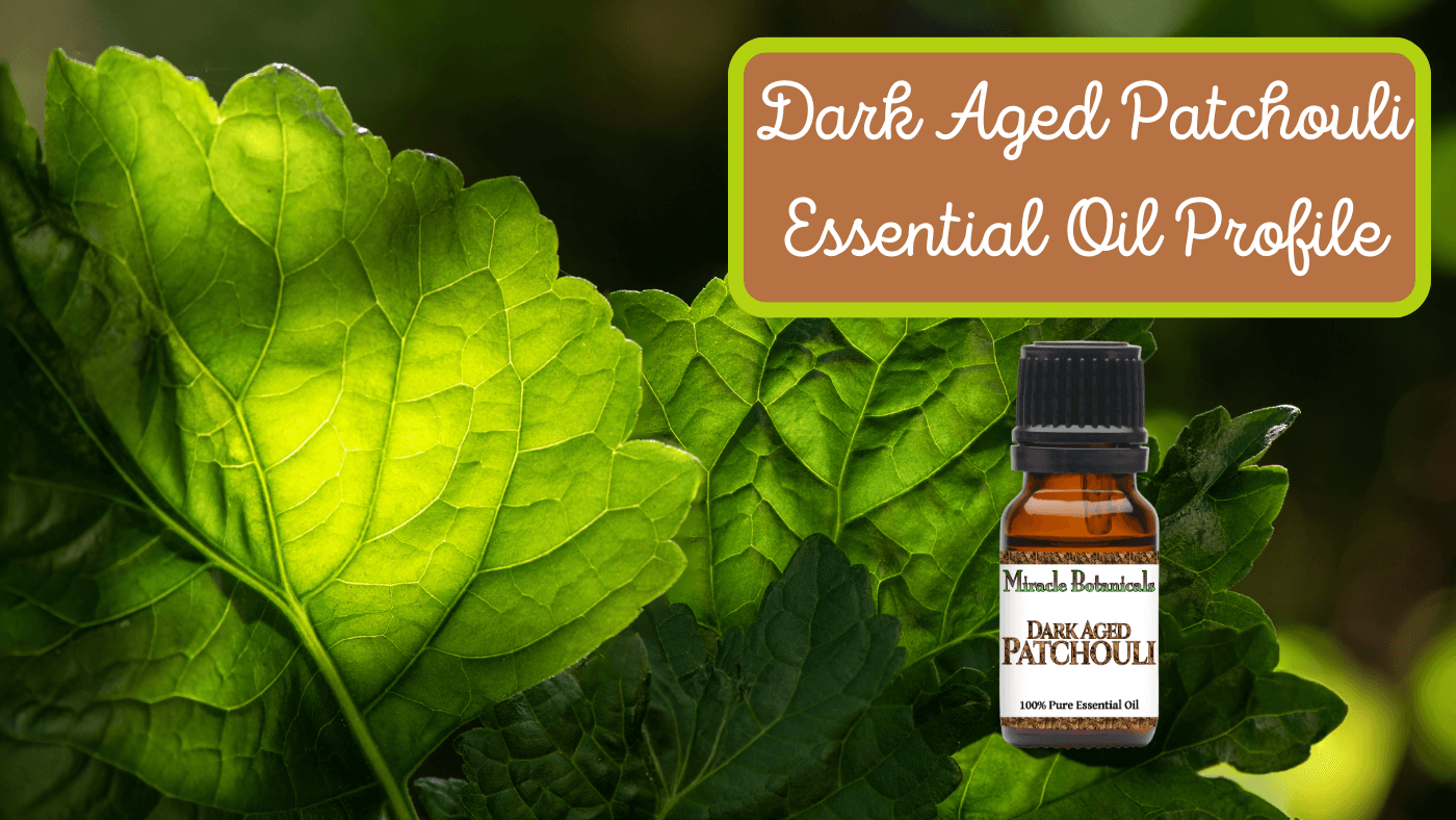 Dark Aged Patchouli Essential Oil Profile