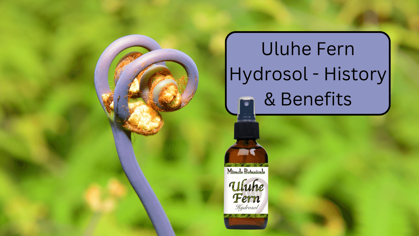 Uluhe Fern Hydrosol: A Hawaiian Treasure