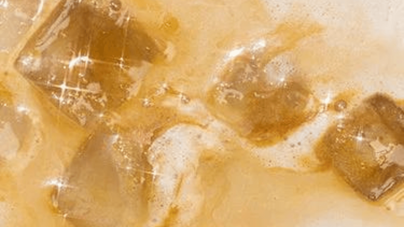 Chaga Chai Recipe
